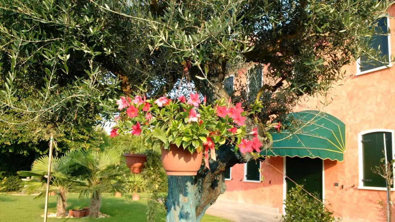 Bed and Breakfast Il Farfasole Vigonovo  Экстерьер фото