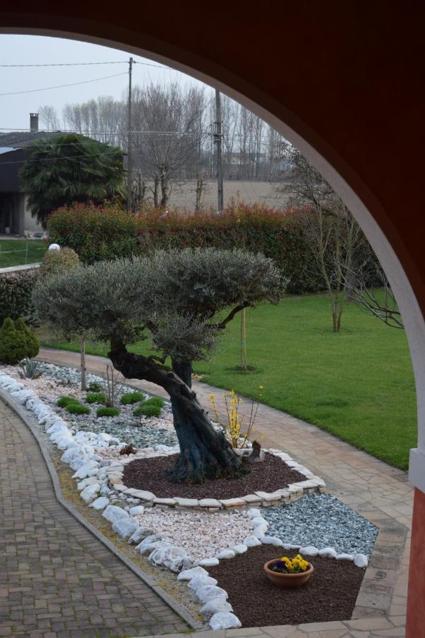 Bed and Breakfast Il Farfasole Vigonovo  Экстерьер фото